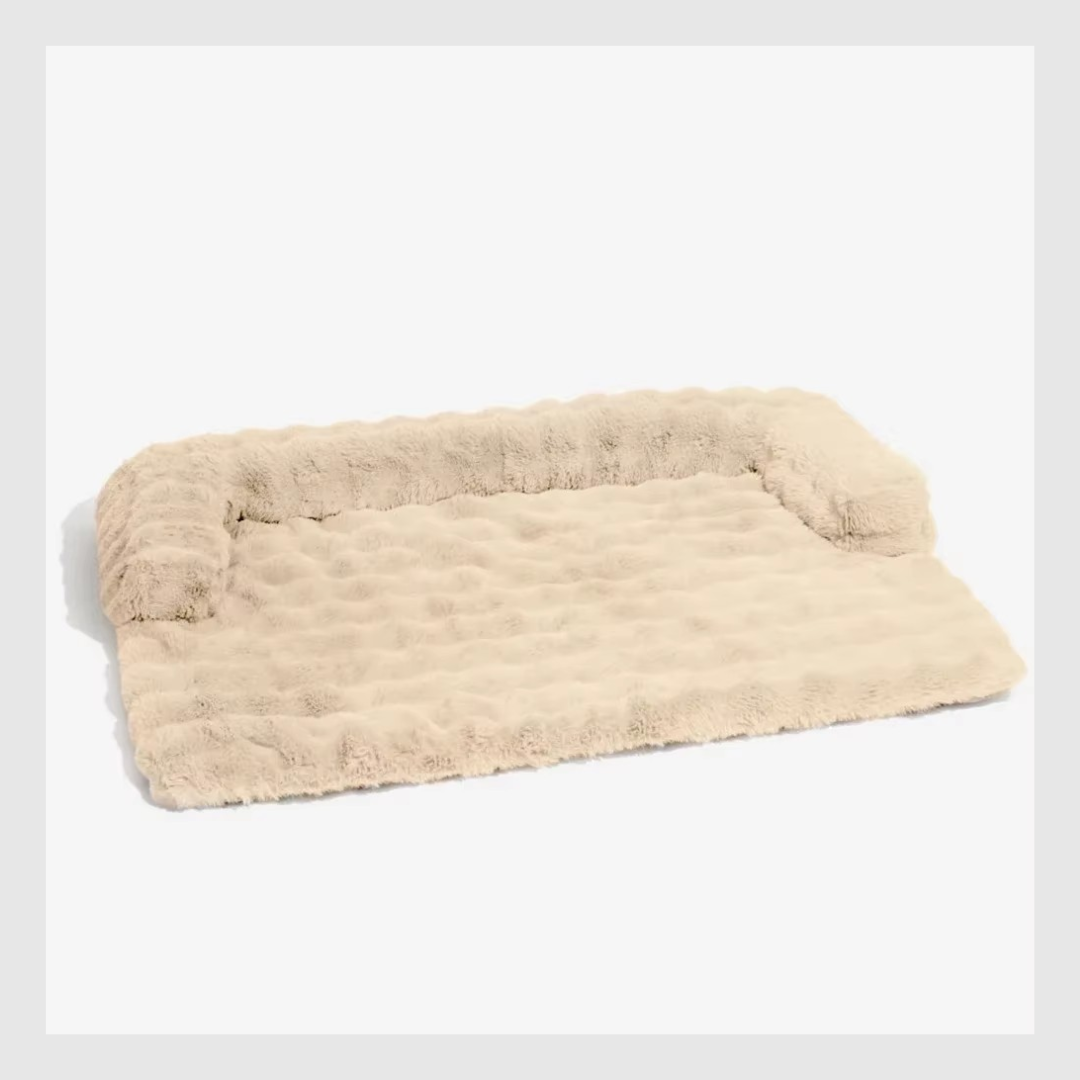 CozyGuard™ : Confort pour votre chien, protection pour vos meubles