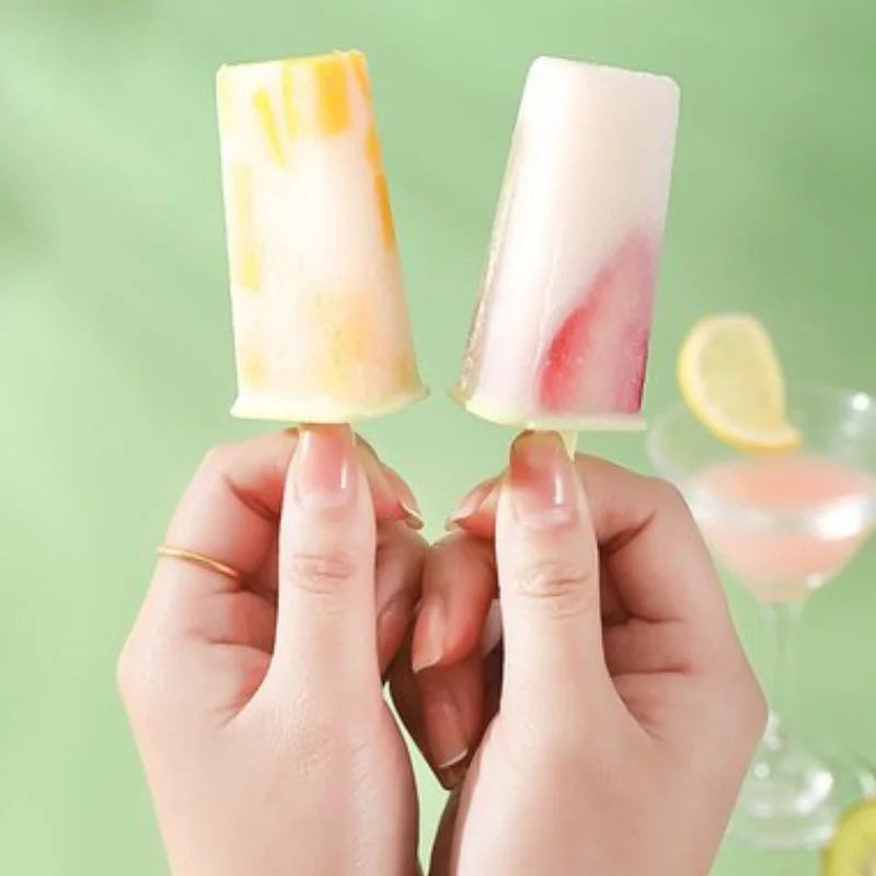 Moule a Glace 8 compartiments