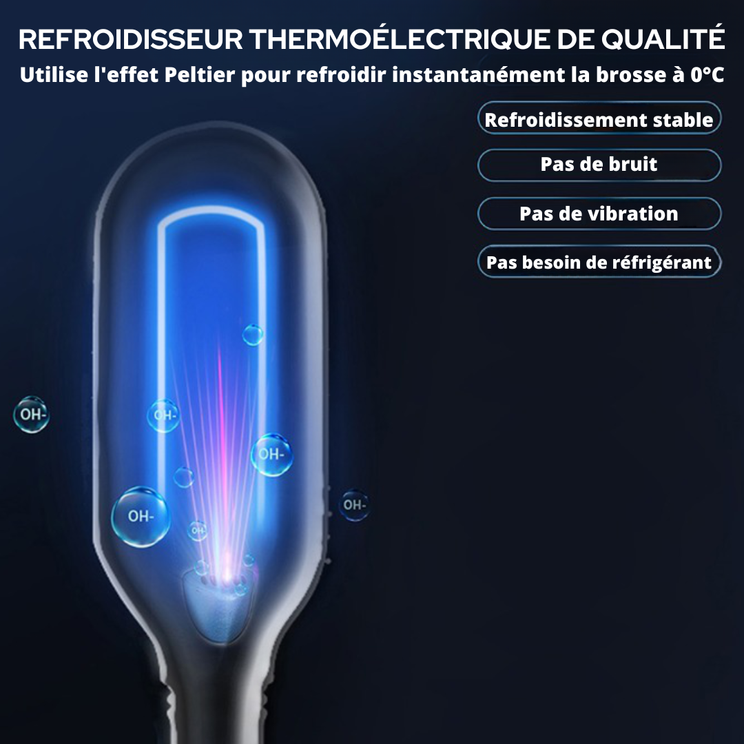 Brosse à Lisser Professionnelle à Ions Négatifs