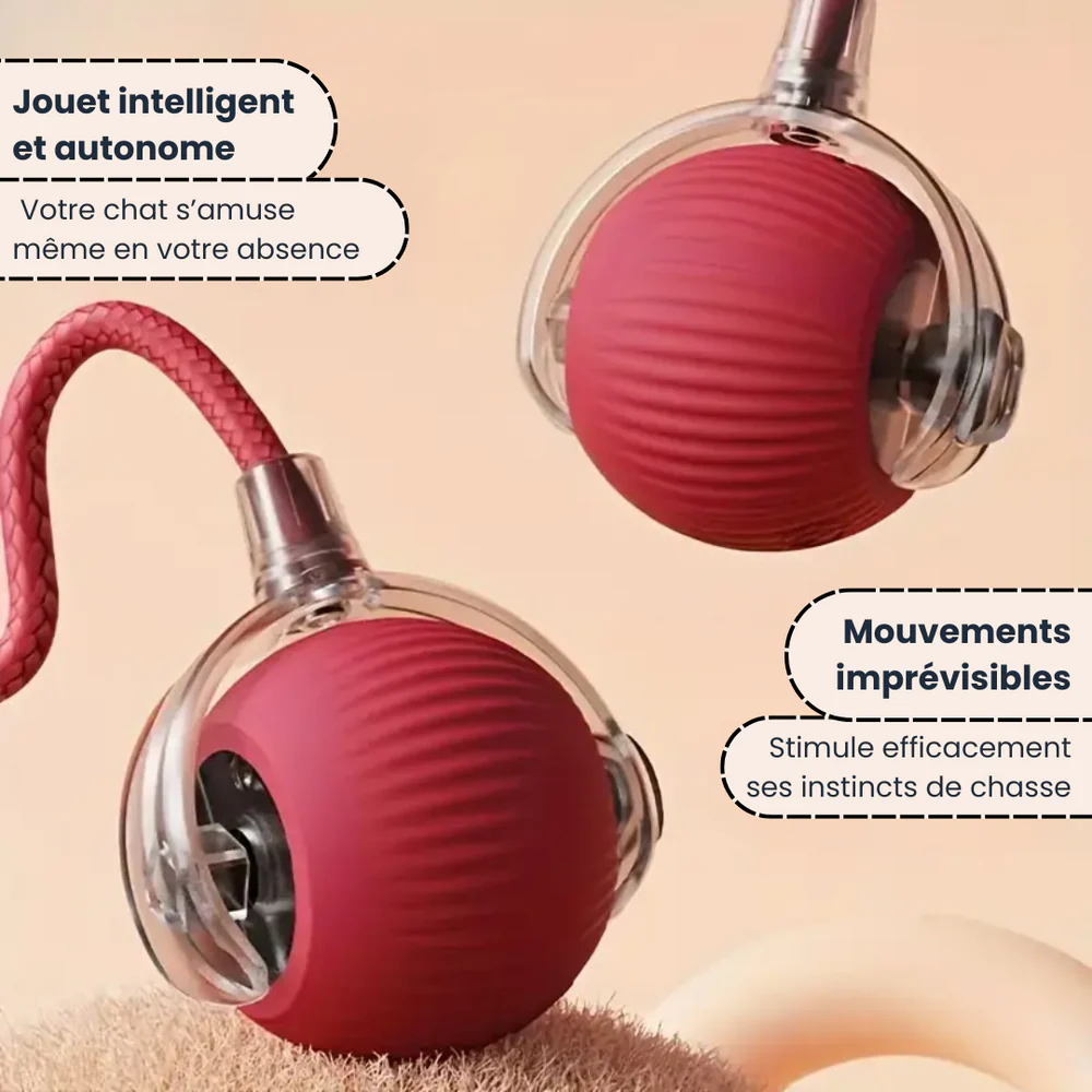 PawQuest –Jouet Interactif pour Chats