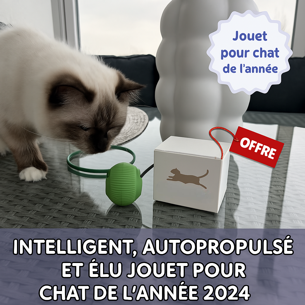 PawQuest – Intelligent, autopropulsé et élu jouet pour chat de l'année 2024