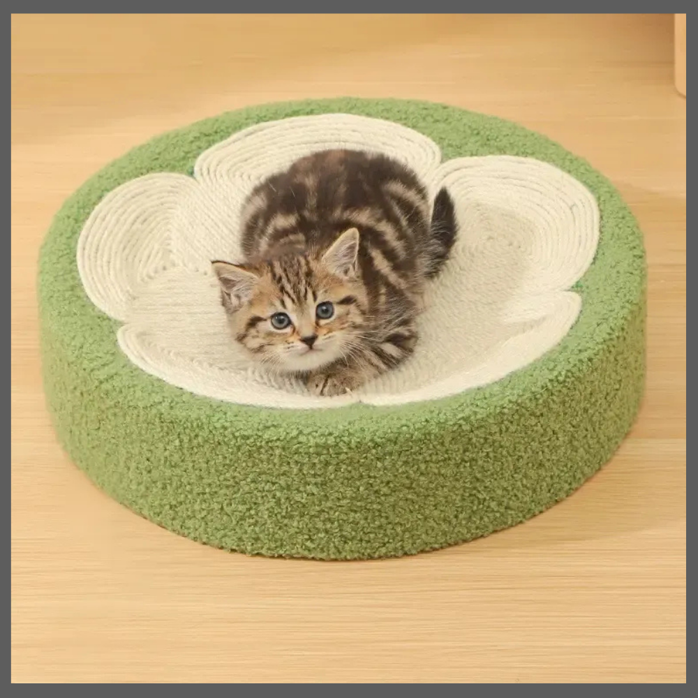 Griffoir Lit pour Chats