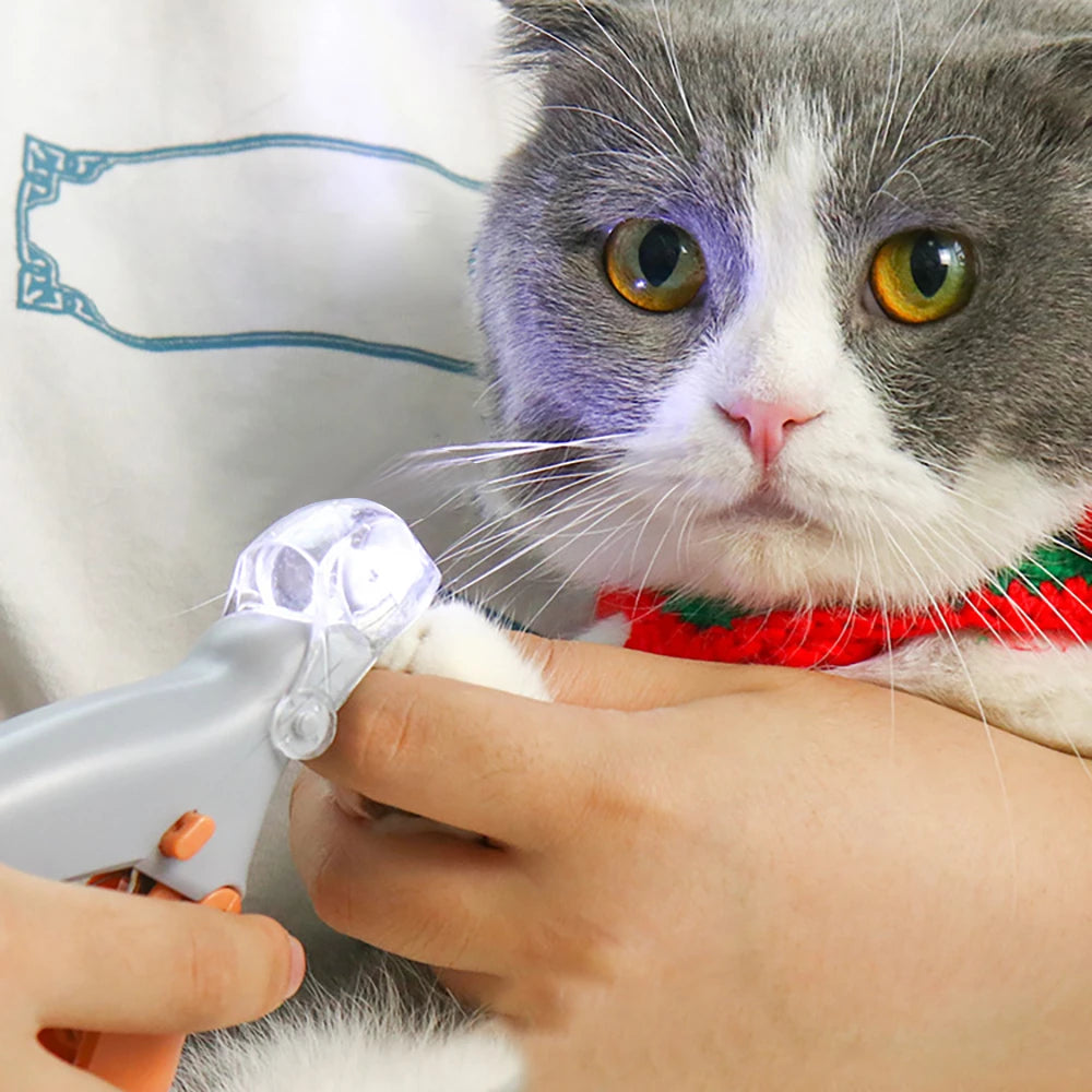 Coupe-ongles pour animaux de compagnie avec lumière LED