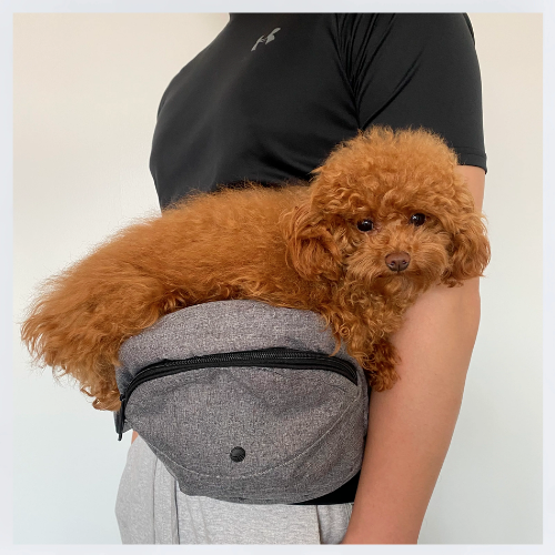 FlexiCarry - Porte-bébé et Sac banane