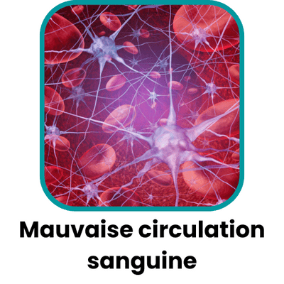 Masseur de pieds à stimulation électromagnétique