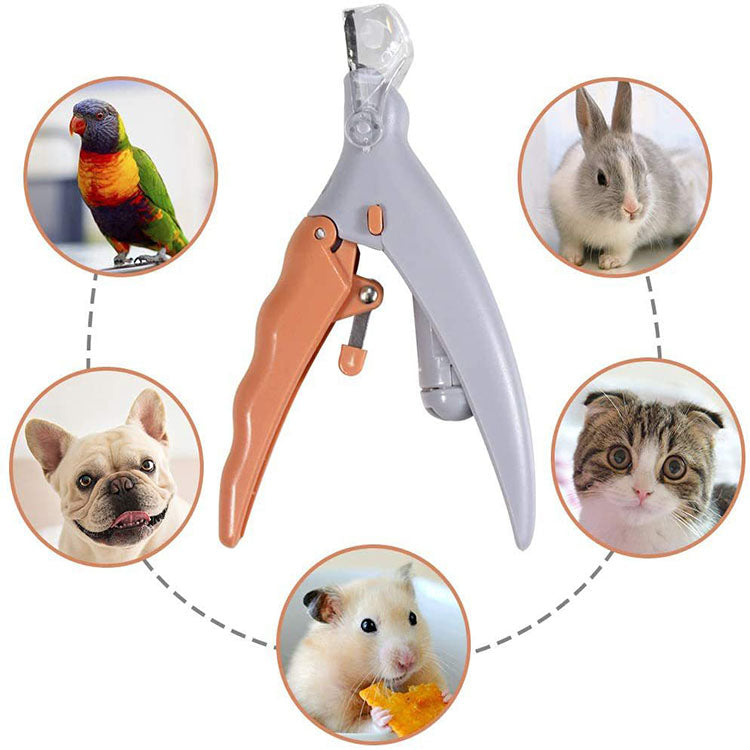 Coupe-ongles pour animaux de compagnie avec lumière LED