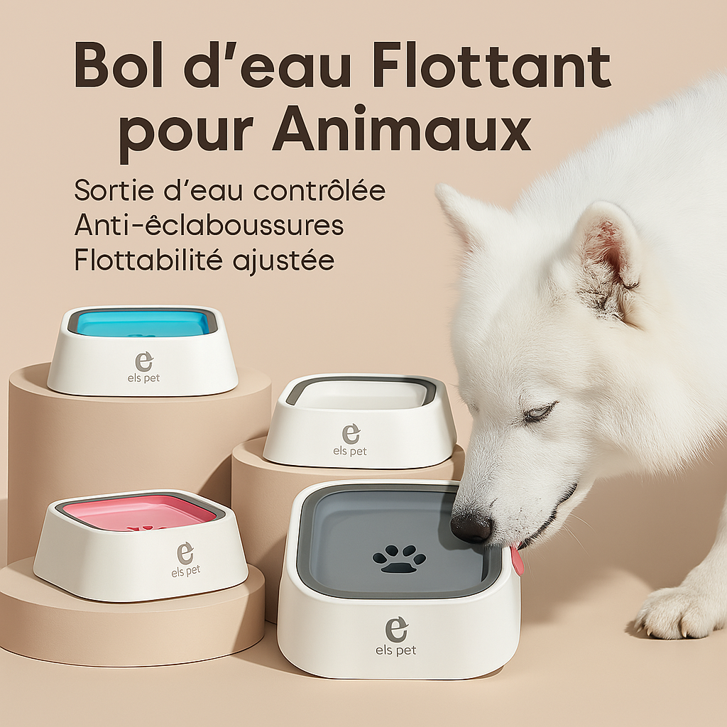 Bol d’eau anti-déversement : Propreté garantie, même en mouvement