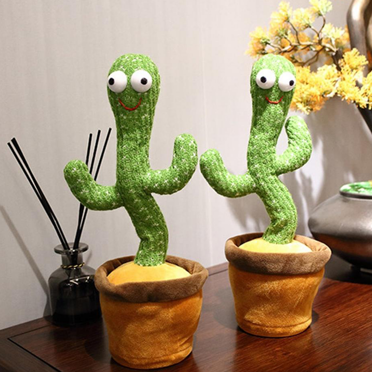 Cactus dansant BERDA™