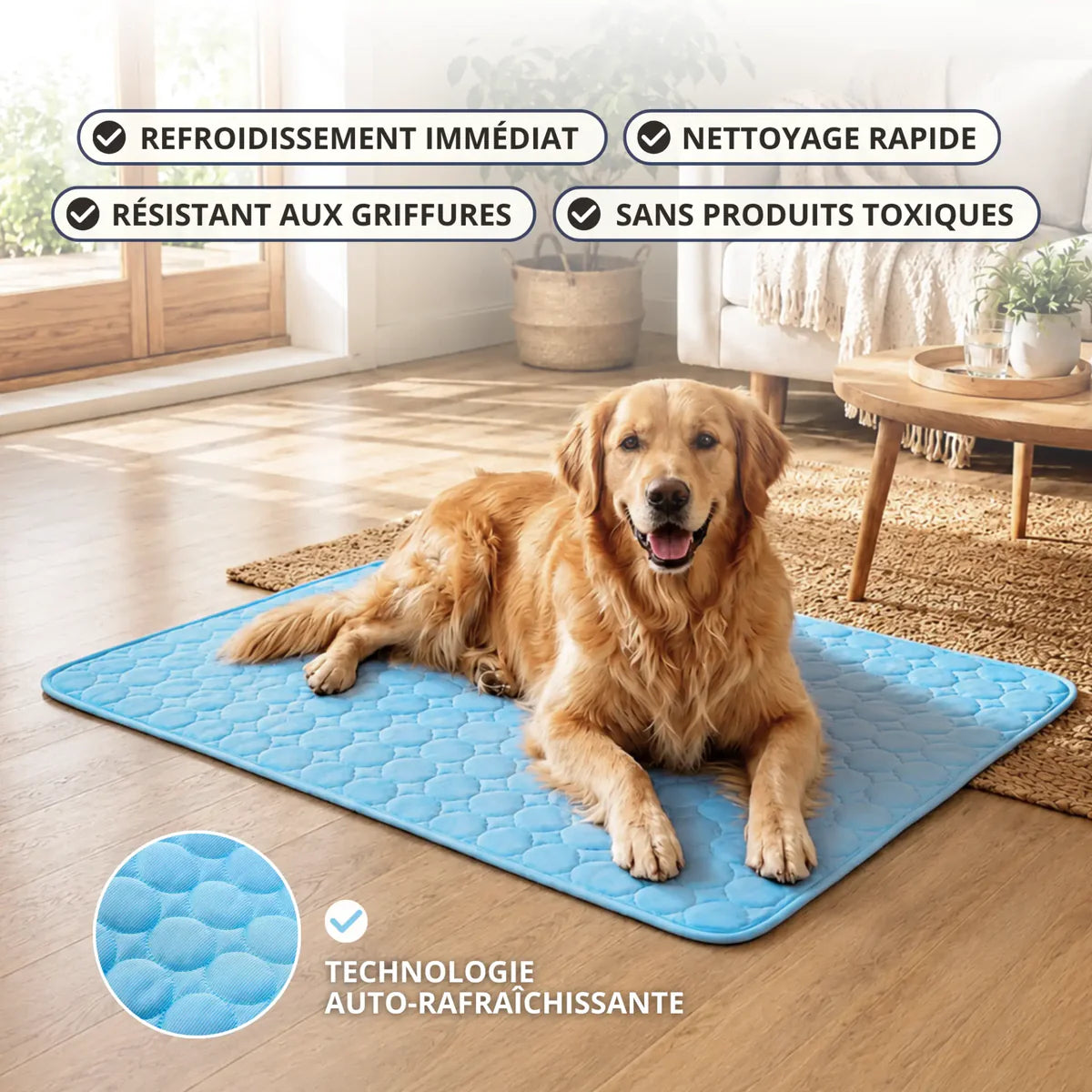 FraîPattes™ — Tapis Rafraîchissant Confort+ pour Chiens & Chats