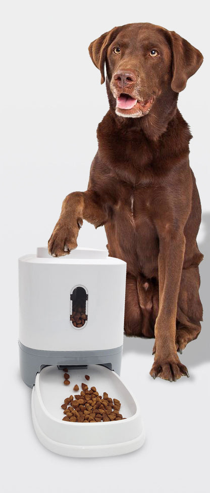Distributeur automatique de nourriture pour animaux de compagnie