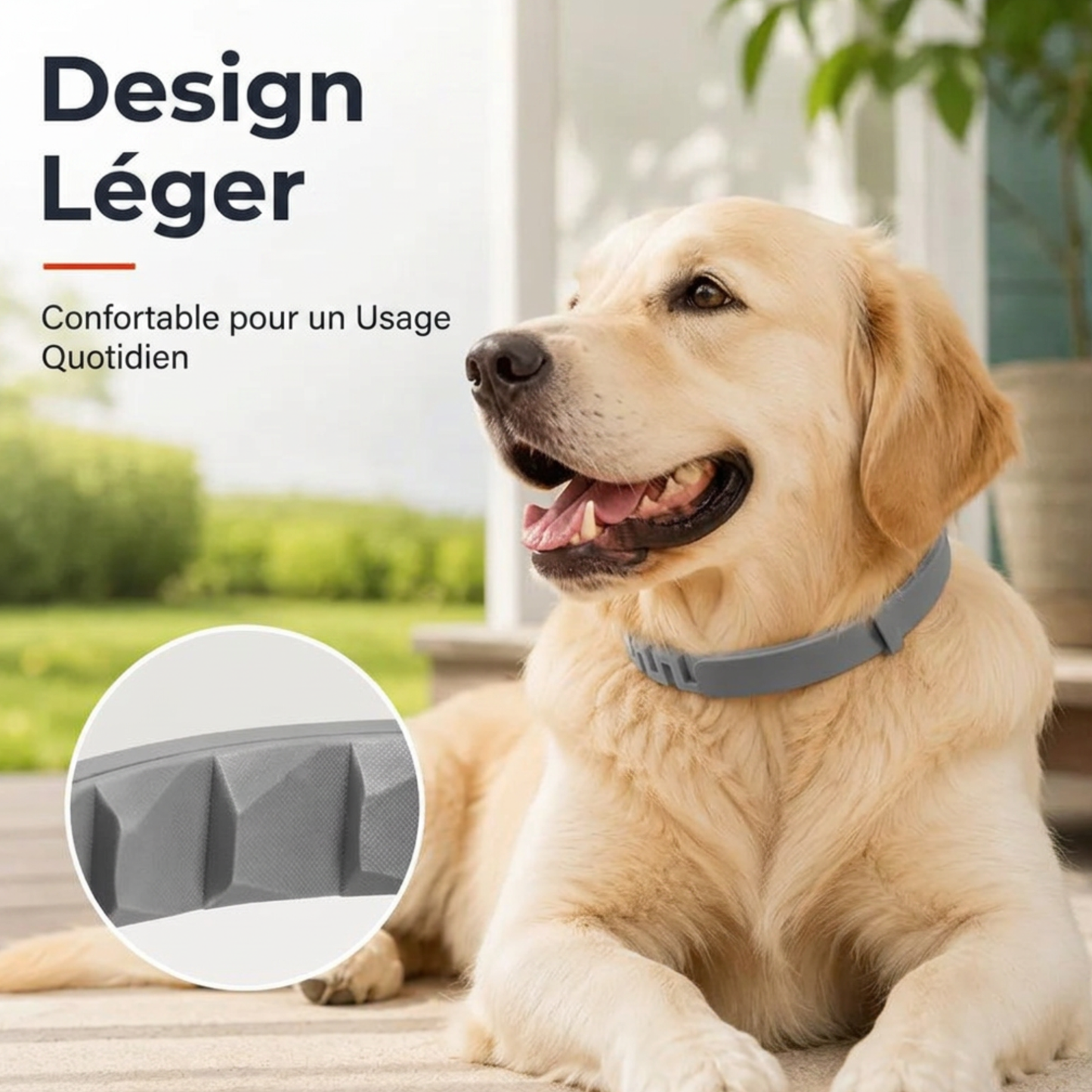 Collier Anti-Puces & Anti-Tiques Pattes — Protection pour chiens et chats.