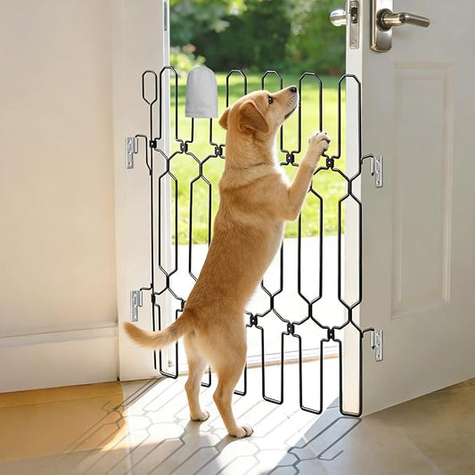 PATTEPRO™ Barrière de Porte Rétractable en Métal — Anti-Évasion pour Chiens