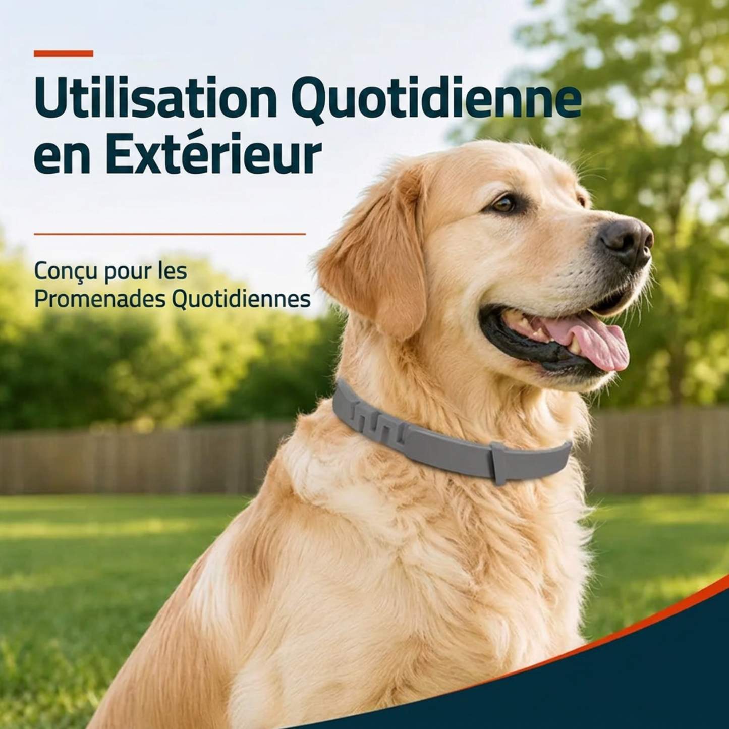 Collier Anti-Puces & Anti-Tiques Pattes — Protection pour chiens et chats.