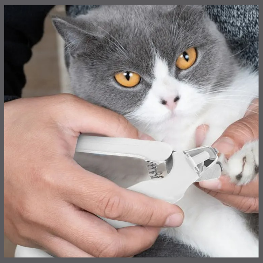 ClipPaw™ – Coupe-Ongles Ultra-Précis pour Animaux