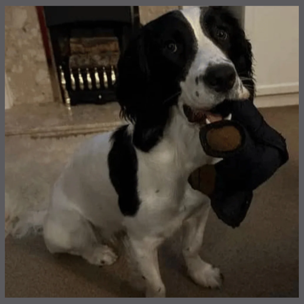 Durapeluche™ – L’Ours Solide et Doux à la Fois