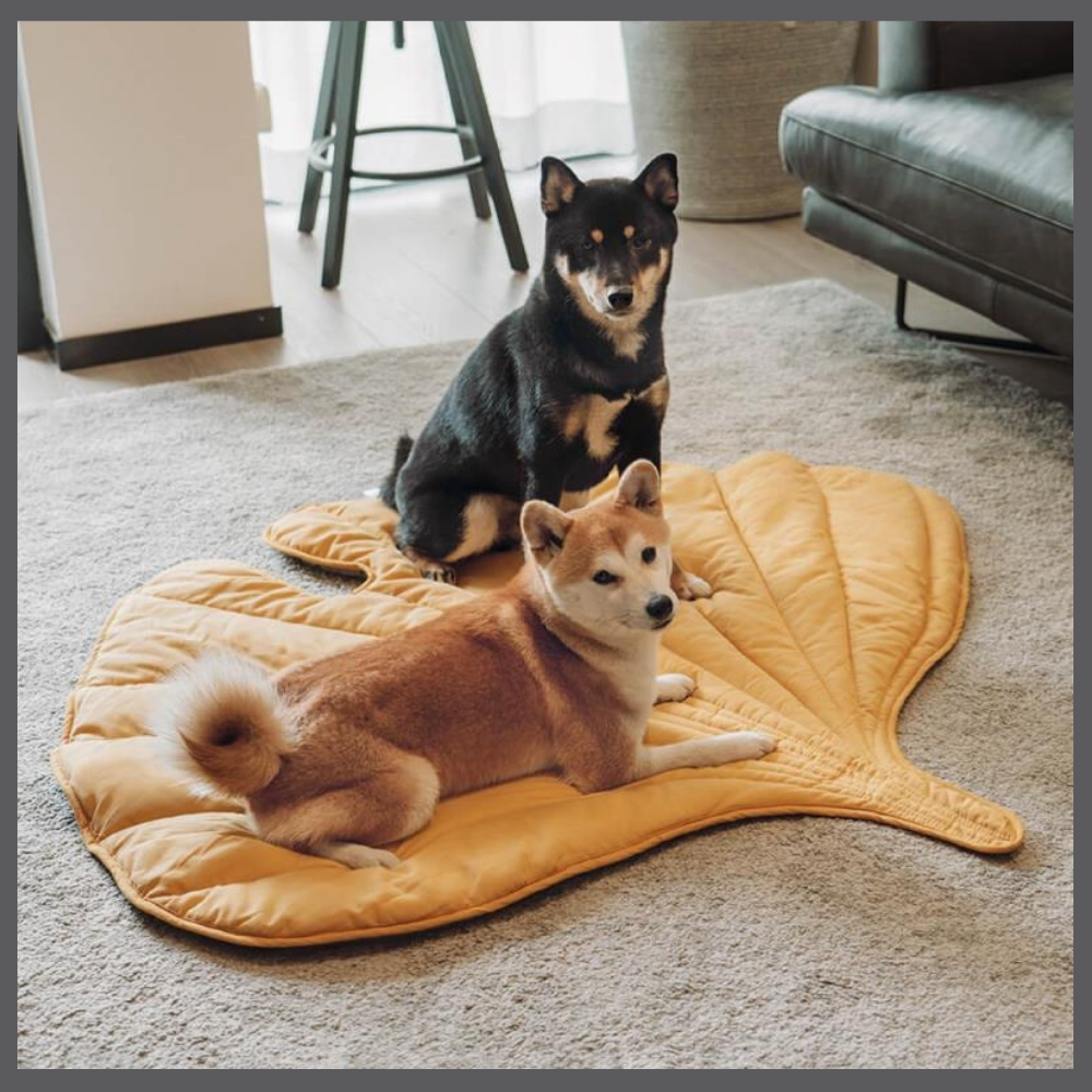 Le Tapis Rafraîchissant PawComfort™