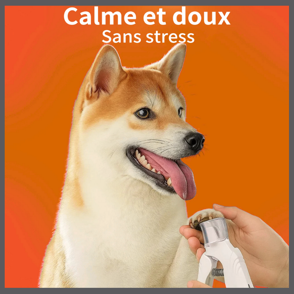 ClipPaw™ – Coupe-Ongles Ultra-Précis pour Animaux