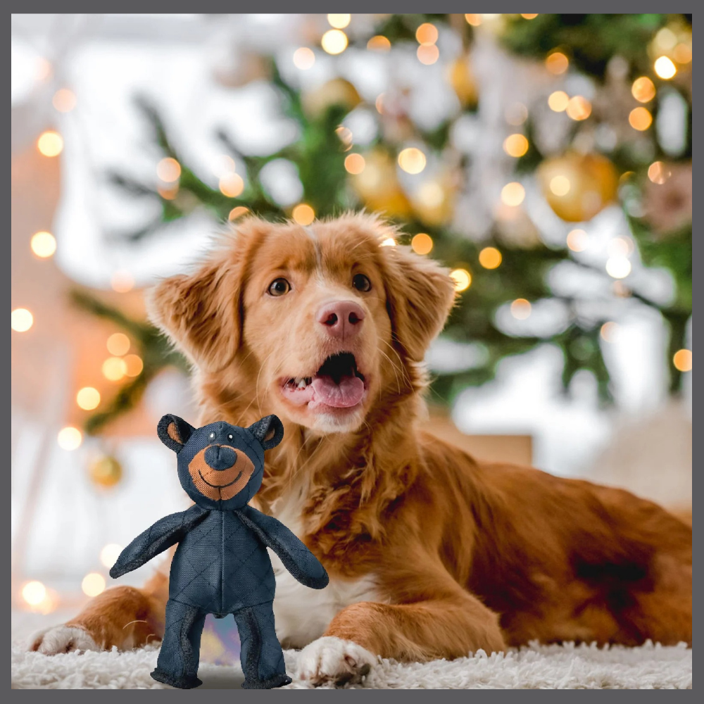 Durapeluche™ – L’Ours Solide et Doux à la Fois