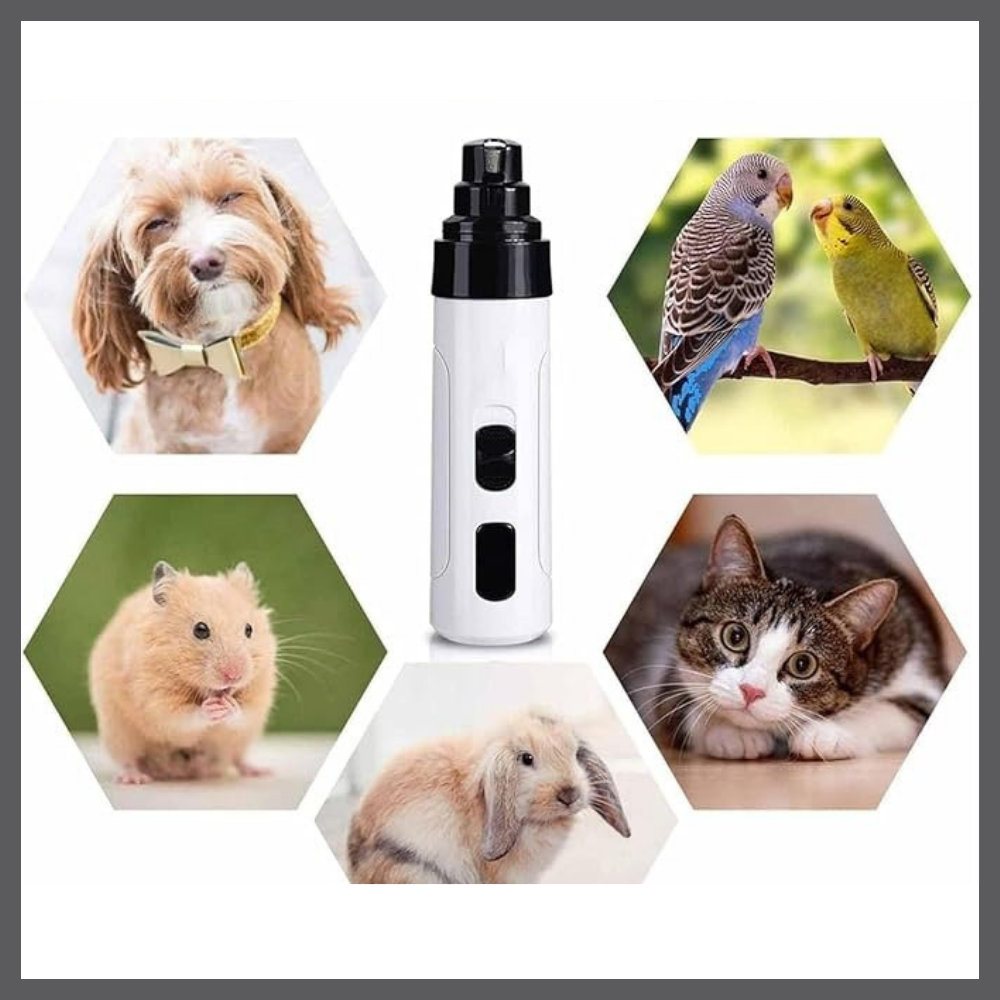 GrifCalm™ – Ensemble Doux pour Griffes Calmes et Soignées