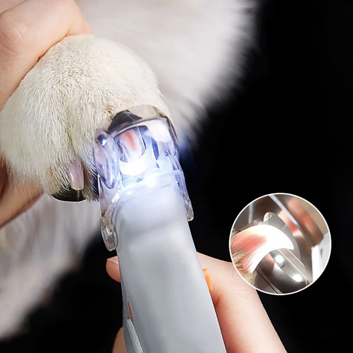 Coupe-ongles pour animaux de compagnie avec lumière LED