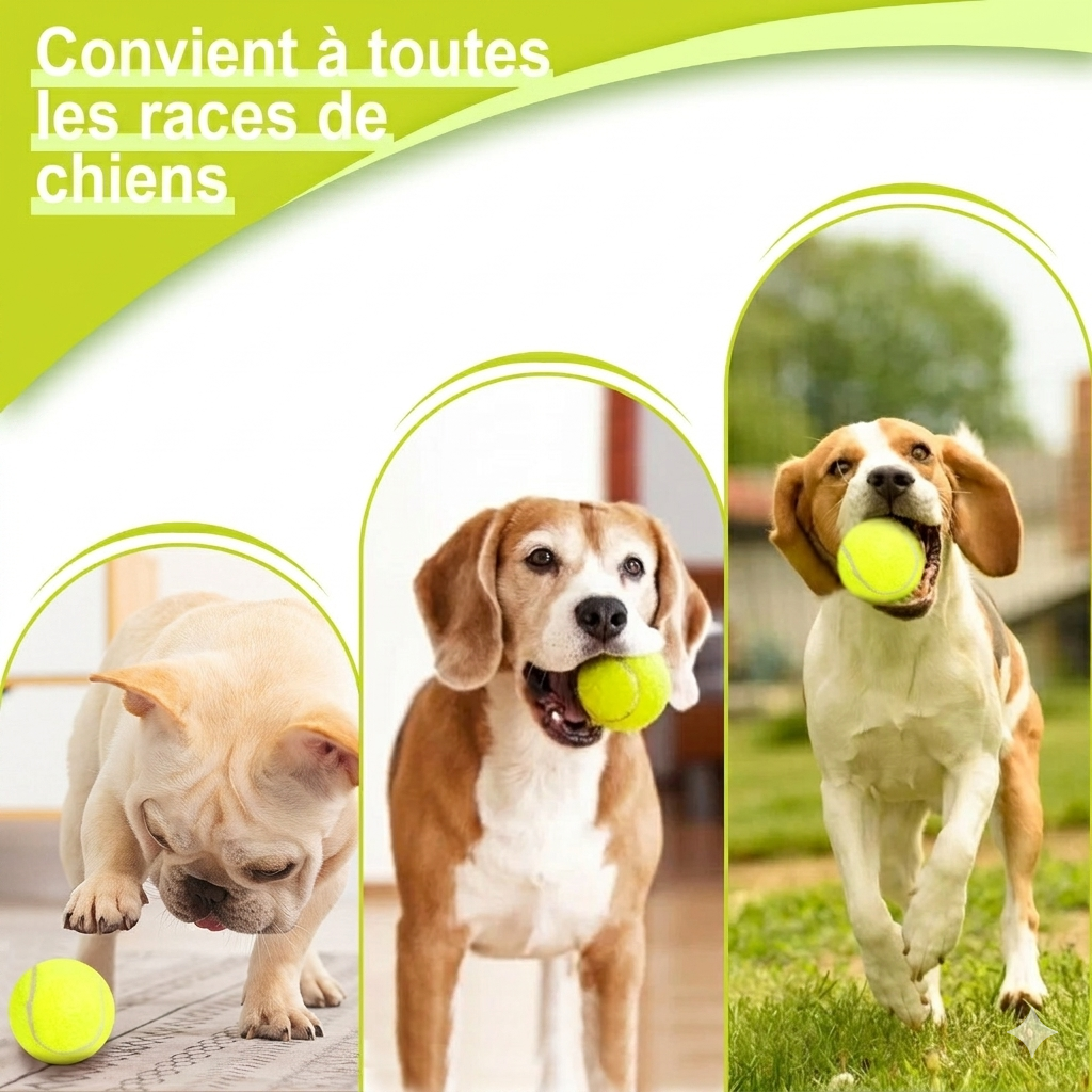 Pokie-Le Lanceur Automatique de Balles pour Chien