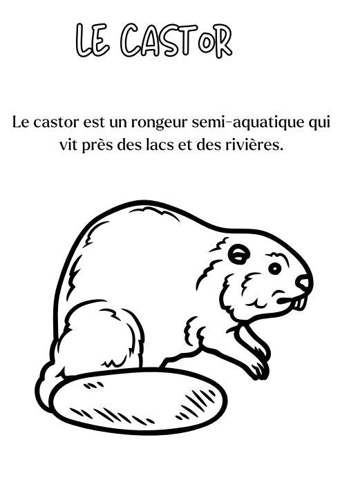 Livre de Coloriage: Apprendre en Coloriant la faune du Canada| Livre PDF Téléchargeable