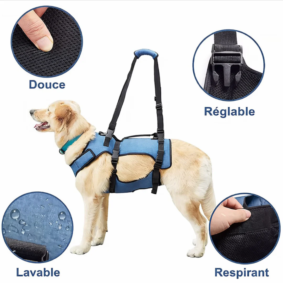 MobiPattes™ – Harnais de soutien confort pour chien