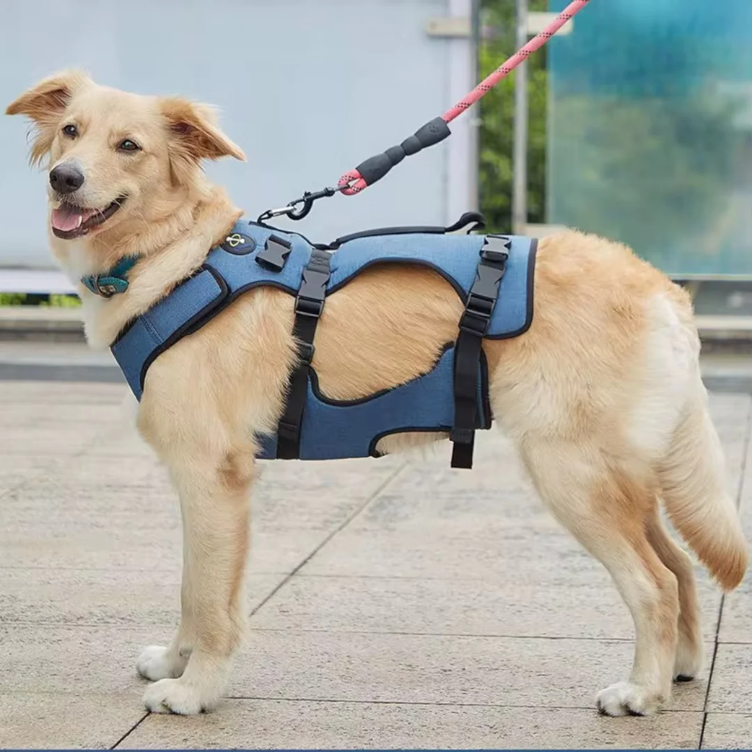 MobiPattes™ – Harnais de soutien confort pour chien