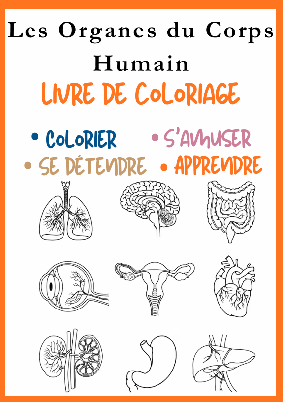 Les Organes du Corps Humain – Livre de Coloriage PDF Éducatif Téléchar ...