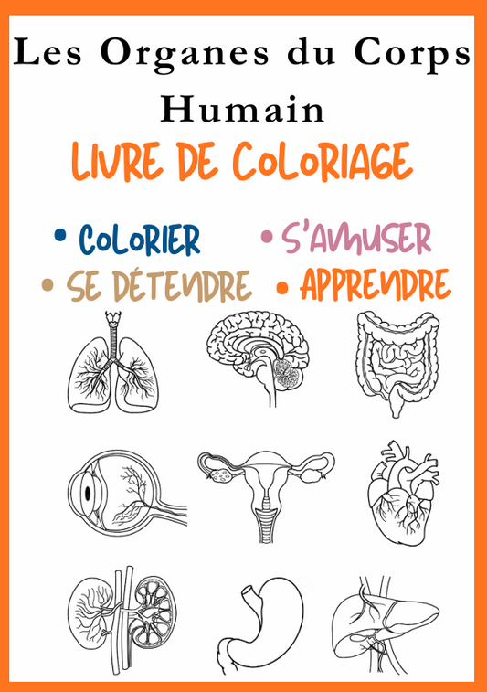 Les Organes du Corps Humain – Livre de Coloriage PDF Éducatif Téléchargeable