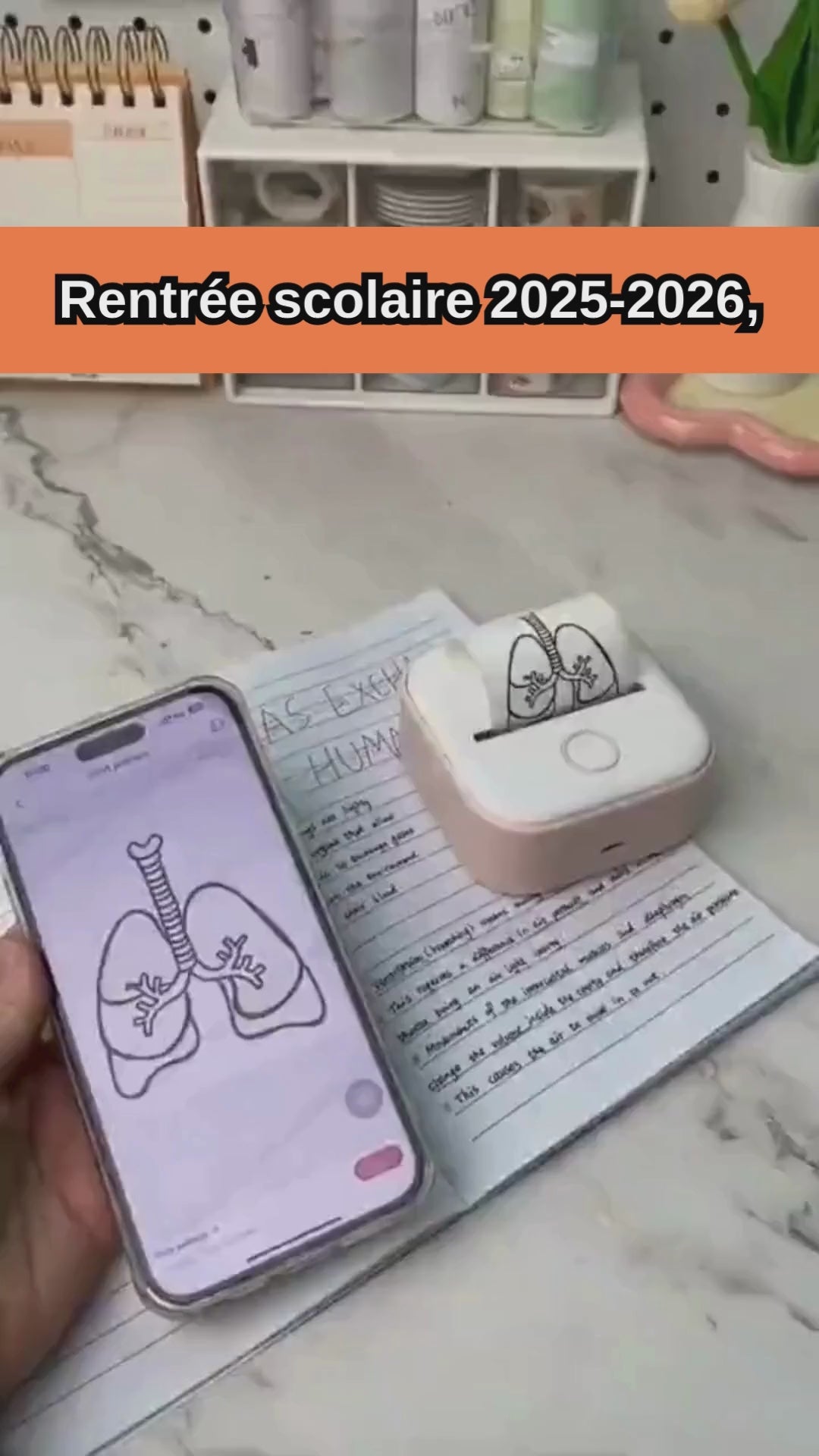 Charger la vidéo : 