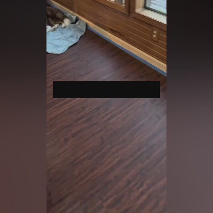 Charger la vidéo : 