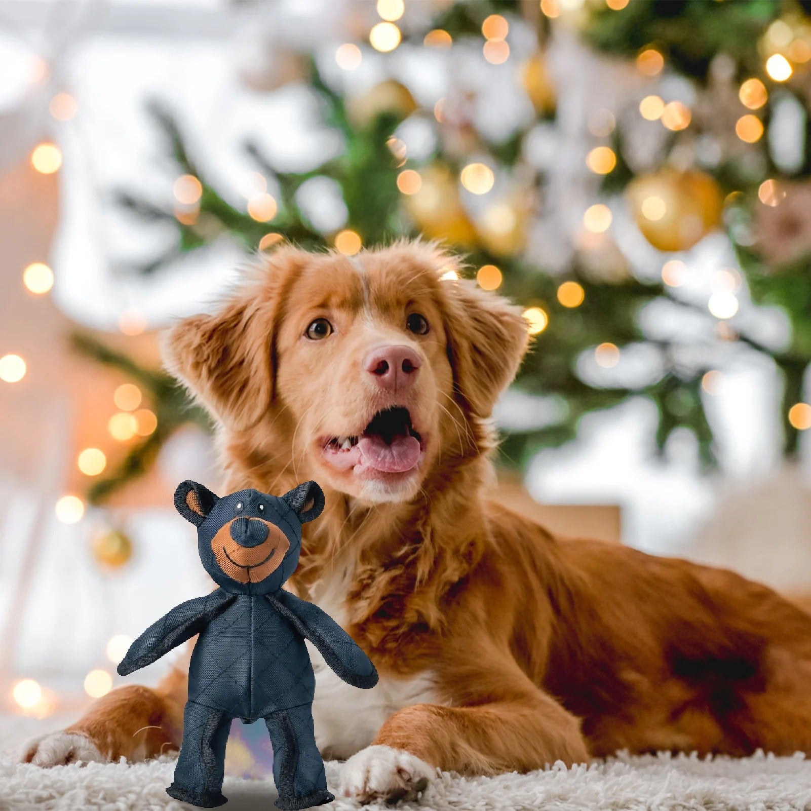 Charger la vidéo : 