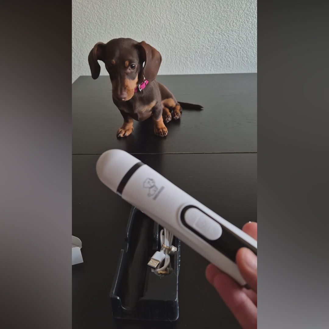 Charger la vidéo : 