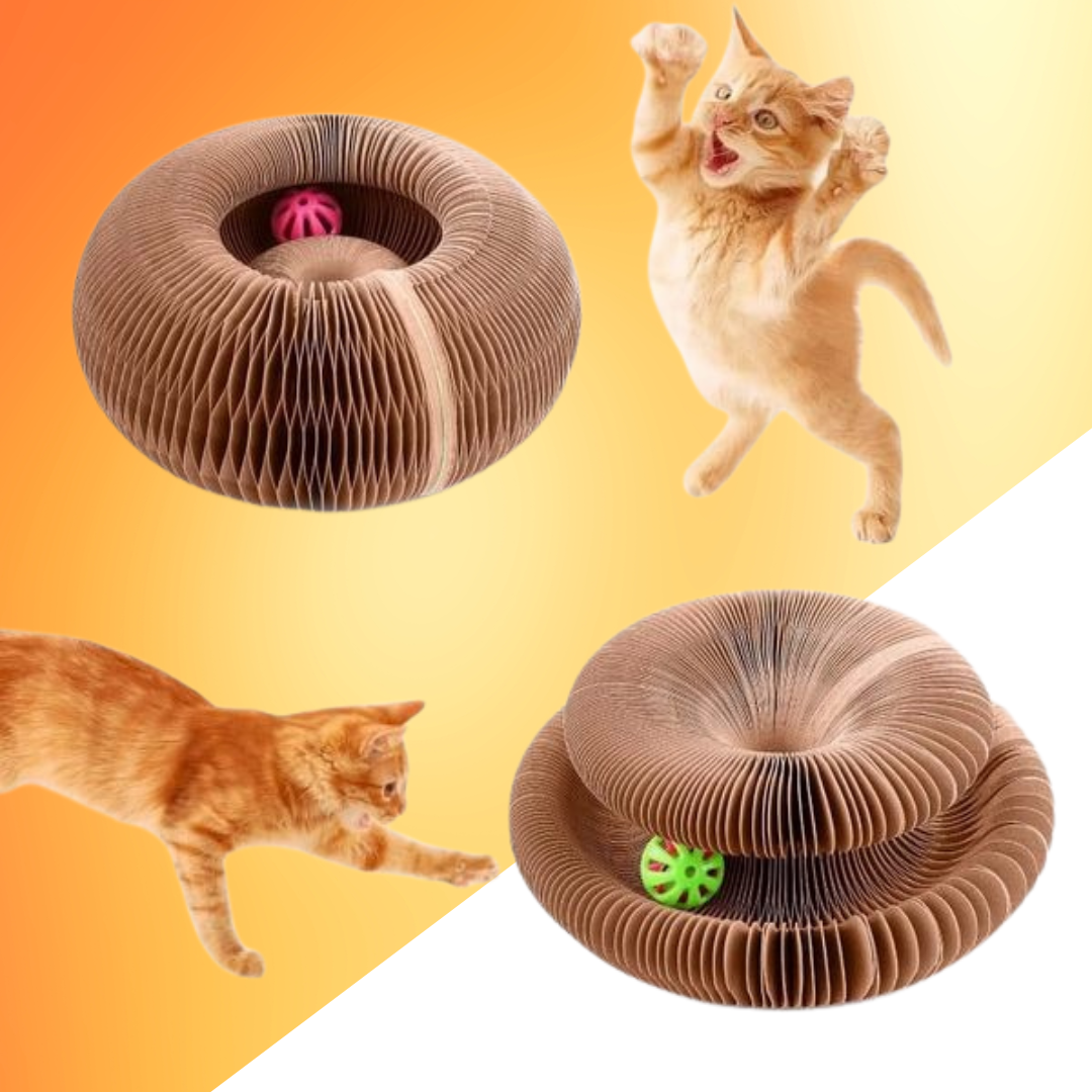 FéliSpin - Jouet Ludique et Relaxant pour Chats