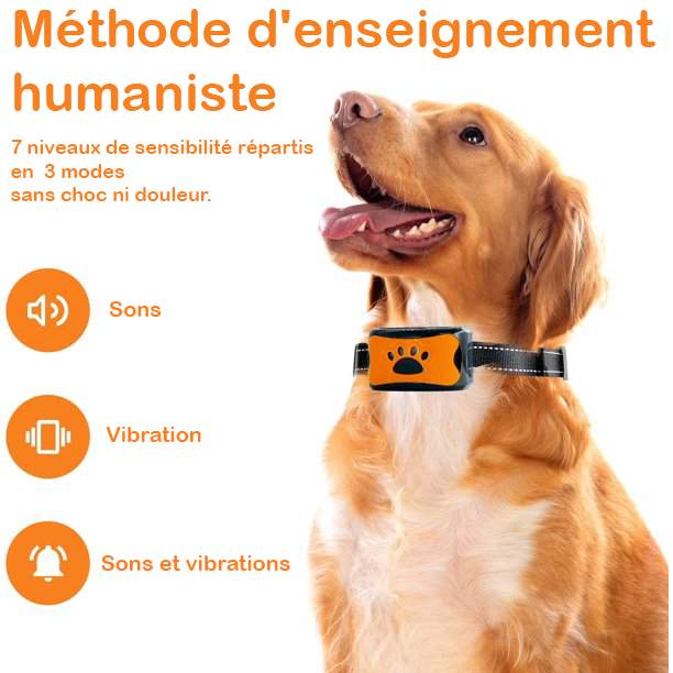 Collier Anti-Aboiement Sans Douleur