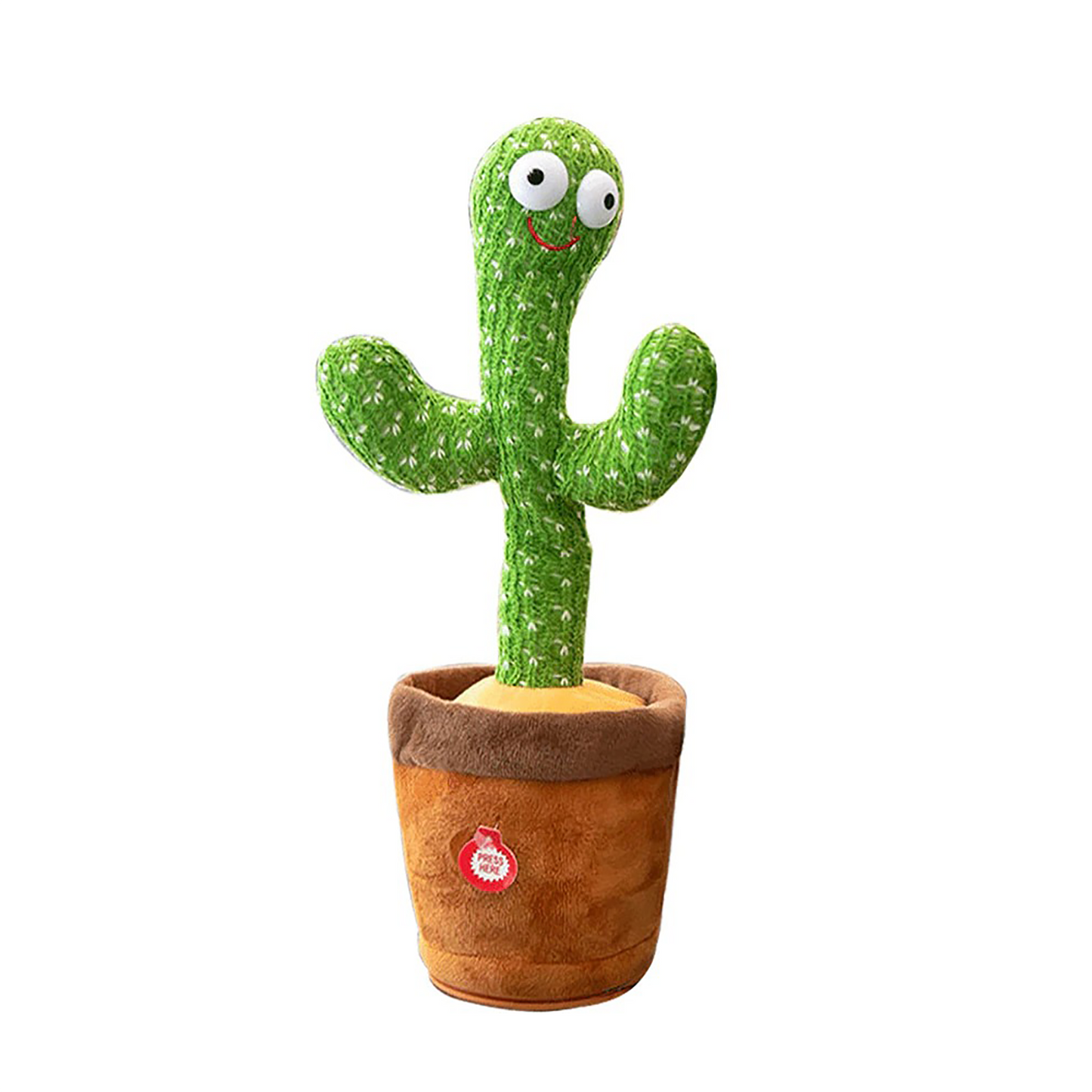 Cactus dansant BERDA™ – BERDAQUEBEC