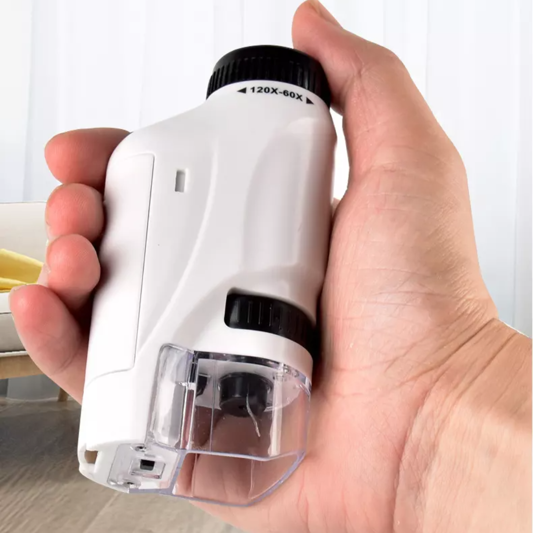 Acheter Microscope portable pour enfants, grossissement du zoom
